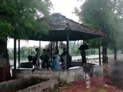 Gujarat Weather Forecast: गुजरात में छाए बादल, इस दिन तक होगी बारिश, जानें- मौसम का ताजा अपडेट