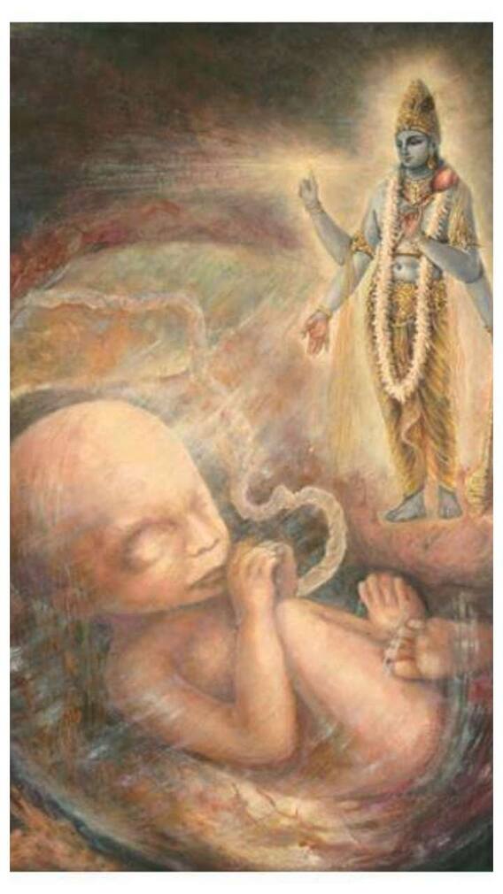 జన్మలు 8 అవి ఇవే