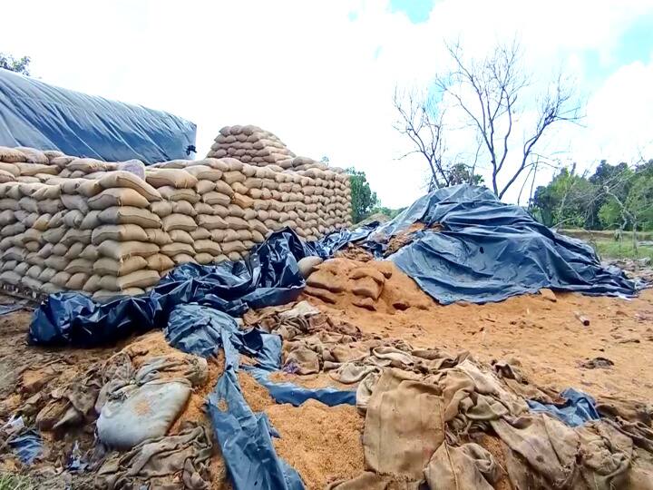 மயிலாடுதுறை ஆட்சியரின் உத்தரவை மதிக்காத அதிகாரிகள் - 3500 மெட்ரிக் டன் நெல் வீணாகும் அபாயம்