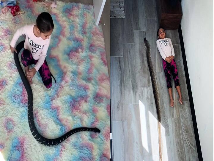 Video of little girl playing with big python goes viral in social media Watch Video: நான் உயரமா.. நீ உயரமா.. பாம்புடன் விளையாடும் செல்லச்சிறுமி... வைரல் வீடியோ !