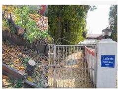 Bhopal Crime News: रेलवे मजिस्ट्रेट के बंगले से चंदन के पेड़ काट ले गए चोर, गश्त पर मौजूद जवान का मोबाइल भी छीना