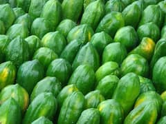 Raw Papaya: గుండెపోటును అడ్డుకునే పచ్చి బొప్పాయి, మీ మెనూలో దీన్ని చేర్చుకోండి