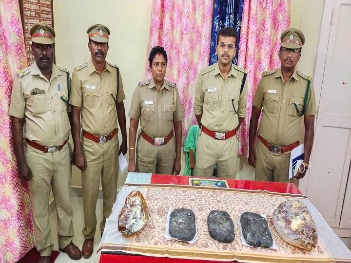 Five arrested for trying to sell banned whale vomit ambergris near Tindivanam திண்டிவனத்தில் திமிங்கில வாந்தியை விற்க முயன்ற 5 பேர் கைது