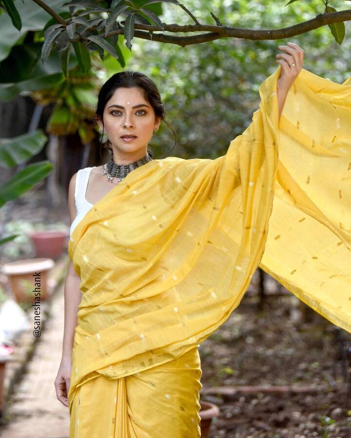 हे दोन्ही सिनेमे प्रेक्षकांच्या पसंतीस पडले होते. (photo: sonalee18588/ig)