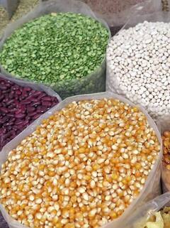 List of healthiest pulses :இதை சாபிட்டால் உடல் 'diet'கு நல்லதா?