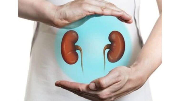 World Kidney Day 2022: Diabetes can damage your kidneys; watch out for warning signs, know in details World Kidney Day 2022: মধুমেহর কারণে ক্ষতিগ্রস্থ হচ্ছে কিডনি, জানুন প্রাথমিক লক্ষণগুলি