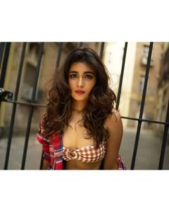 Shalini Pandey Photos: జీరో సైజ్ కాదు హాఫ్ జీరో సైజ్ అనాలేమో, మరీ ఇలా ఎలా షాలినీ