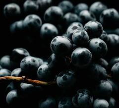 ਗਰਮੀਆਂ 'ਚ ਜ਼ਰੂਰ ਖਾਓ ਅੰਗੂਰ, ਸਰੀਰ ਨੂੰ ਹੁੰਦੇ ਫਾਇਦੇ ਜਾਣ ਕੇ ਹੋ ਜਾਓਗੇ ਹੈਰਾਨ