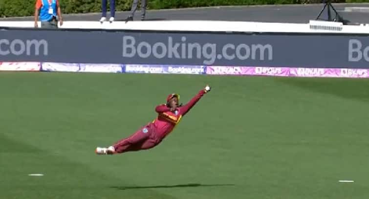 Women Cricket World Cup 2022: West Indies women player Dotting take a screamer catch watch video Women's World Cup: વેસ્ટ ઈન્ડિઝની મહિલા ક્રિકેટરે હવામાં ઉડીને જોન્ટી રોડ્સની જેમ પકડ્યો અદભૂત કેચ, જુઓ વીડિયો