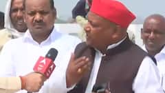 UP Exit Poll 2022: Will BJP witness a BIG loss in Gorakhpur? | Ground Report