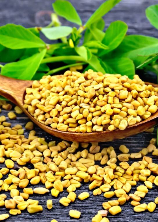 வெந்தயத்தில் உள்ள நார்ச்சத்து இதய அடைப்பு இடர்பாட்டை குறைக்கும்