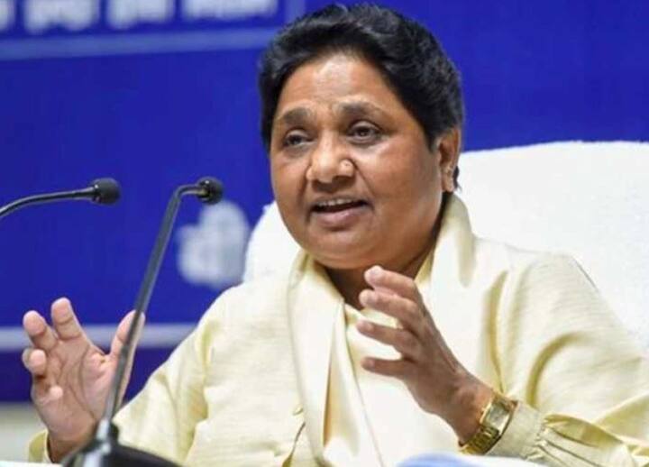 बसपा सुप्रीमो और यूपी की पूर्व मुख्यमंत्री रहीं मायावती ने अपनी पार्टी के उम्मीदवारों की जीत के लिए प्रदेश में 18 रैलियां और रोड शो किए.