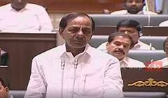 CM KCR On JOB Reservations: తెలంగాణ యువకుల కోసం కేంద్రంతో కొట్లాడి సాధించాం..!| ABP Desam