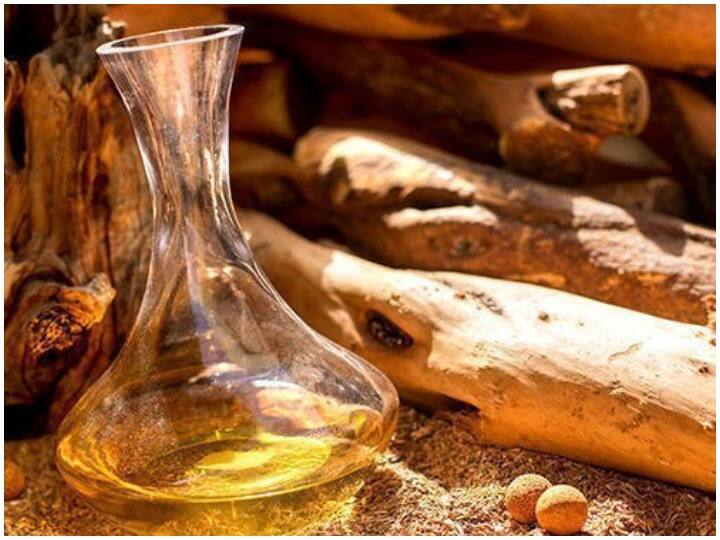 Sandalwood Oil In Summers Keep Your Mind Cool And Good For Skin Stress Sleep Problem गर्मियों में चंदन के तेल से बनाएं दिमाग को ठंडा-ठंडा कूल-कूल, ये है चंदन के तेल के फायदे