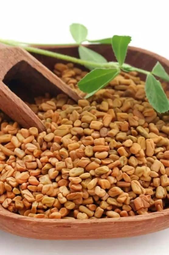 Fenugreek Health Benefits in Tamil methi medicinal benefits uses