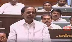 CM KCR announces jobs: 11 వేల 103 కాంట్రాక్ట్ ఉద్యోగుల రెగ్యులరైజ్‌కు నిర్ణయం|ABP Desam