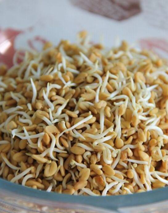 கொலஸ்ட்ராலை குறைக்க வெந்தயம் உதவி செய்கிறது