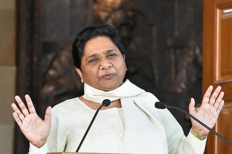 BSP chief Mayawati appoints nephew Akash Anand to top party post मायावती ने अपने भतीजे आकाश आनंद को BSP में दिया बड़ा प्रमोशन, भाई बने राष्ट्रीय उपाध्यक्ष