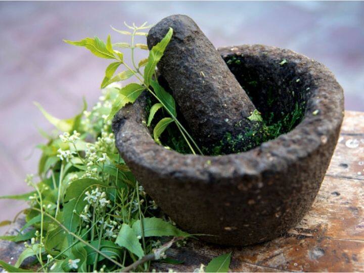 Cabinet Approves Establishment Of WHO Global Centre For Traditional Medicine Under AYUSH Ministry Cabinet Approves Establishment Of WHO Global Centre For Traditional Medicine Under AYUSH Ministry