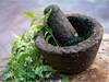 Cabinet Approves Establishment Of WHO Global Centre For Traditional Medicine Under AYUSH Ministry