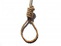 MEHSANA : પ્રેમી યુગલે ગળાફાંસો ખાઈ કરી આત્મહત્યા, ઝાડ પર લટકતા મળ્યા મૃતદેહ