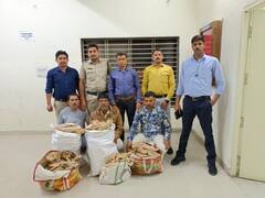 Indore Crime: इंदौर में पुलिस को चेकिंग के दौरान मिली लाखों रुपये की चंदन की लकड़ी, तीन तस्कर गिरफ्तार