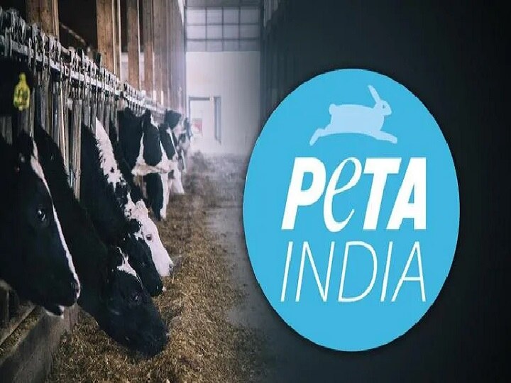 Peta india: 'முட்டை தின்னா பெண்ணியவாதி இல்லை.. கோழிக்கு துரோகம்' பீட்டாவின் அடேங்கப்பா கட்டுரை!