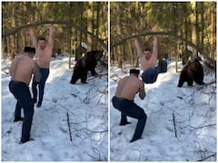 जंगल में भालू के साथ वर्कआउट करते दिखे दो शख्स, वीडियो देख चकरा जाएगा दिमाग