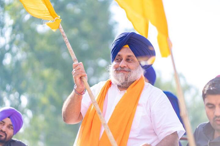 अकाली दल 10 जागांवर आघाडीवर असल्याचे दिसत आहे. तर भाजप मात्र निष्प्रभ दिसून येत आहे