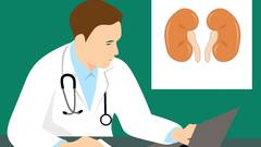 World Kidney Day 2022: কিডনি সুস্থ থাকলেই ভাল থাকবেন আপনি