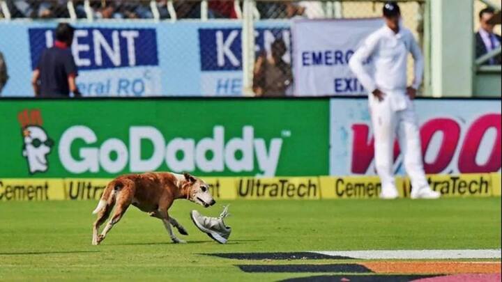 4. જો મેદાન પર કોઈપણ વ્યક્તિ, પ્રાણી અથવા અન્ય વસ્તુ કોઈપણ ટીમને નુકસાન પહોંચાડે છે, તો તેને ડેડ બોલ જાહેર કરવામાં આવશે.