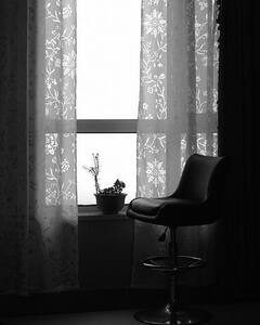 Benefits of Indoor Plants: বাড়বে অন্দরের সৌন্দর্য্য, দূর হবে মানসিক চাপ, ঘর সাজুক ইনডোর প্ল্যান্টে