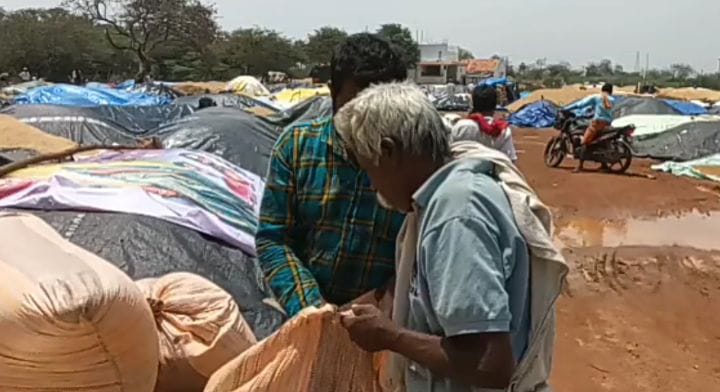 திடீர் மழையால் திருவெறும்பூரில் கொள்முதலுக்காக வைக்கப்பட்ட நெல் மூட்டைகள் சேதம்