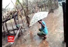 ગુજરાતના વાતાવરણમાં પલટોઃ ડાંગમાં કરા સાથે પડ્યો વરસાદ, જુઓ વીડિયો