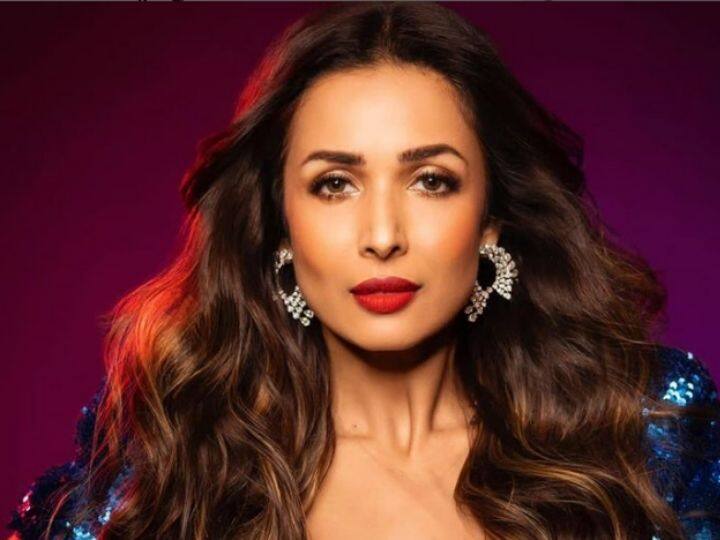 malaika arora on being trolled for her black gown look say people are very hypocritical Malaika Arora :  'लोक ढोंगी आहेत'; ट्रोलर्सला मलायकानं दिलं सडेतोड उत्तर