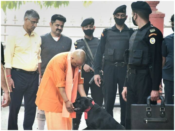 योगी का राजनीतिक सफर उपब्धियों से भरा है. राजनीति में योगी गोरक्षपीठ की तीसरी पीढ़ी हैं. ब्रह्मलीन महंत दिग्विजय नाथ भी गोरखपुर से विधायक और सांसद रहे . इसके बाद महंत अवैद्यनाथ ने भी विधानसभा और लोकसभा दोनों में प्रतिनिधित्व किया. योगी आदित्यनाथ गोरक्षपीठ की विरासत को आगे बढ़ाते हुए 1998 में महज 26 वर्ष की उम्र में पहली बार गोरखपुर से भाजपा के सांसद बने और लगातार पांच बार उनकी जीत का सिलसिला बना रहा.