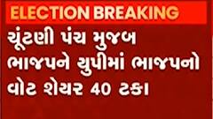 ગોવામાં ભાજપ-કોંગ્રેસ વચ્ચે ટક્કર, ભાજપને કોંગ્રેસ કરતા એક બેઠક વધુ મળી, જુઓ ગુજરાતી ન્યુઝ