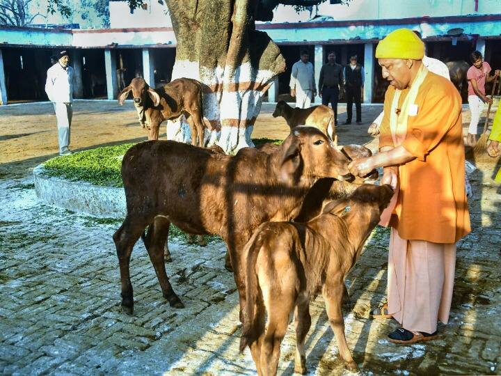 योगी के संन्यासी होने से पहले के जीवन पर नजर डालें तो पांच जून 1972 को पड़ोसी राज्य उत्तराखंड के पौड़ी गढ़वाल जिले में यमकेश्वर तहसील के पंचुर गांव के एक गढ़वाली क्षत्रिय परिवार में उनका जन्म हुआ. योगी के पिता का नाम आनन्द सिंह बिष्ट था. अपने माता-पिता के सात बच्चों में योगी शुरू से ही सबसे तेज तर्रार थे. बचपन में उनका नाम अजय सिंह बिष्ट था.