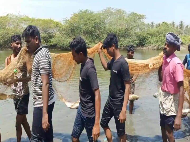 Madurai American College students going to the village to learn freshwater aquaculture Watch video |  நன்னீர் மீன்வளர்ப்பு  முறையை கிராமத்திற்கு சென்று கற்கும் மதுரை அமெரிக்கன் கல்லூரி  மாணவர்கள்..