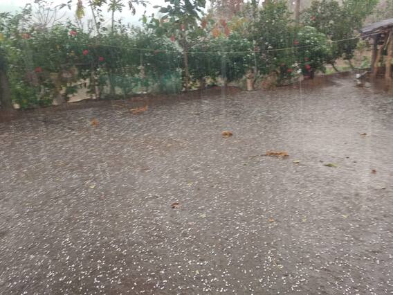 हंगामाच्या प्रारंभी आंबा, काजू, जांबु फळांवर अवकाळी आणि गारपिटीच संकट