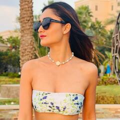 Tridha Choudhury Photos: త్రిదాకి లుక్ చూసి ఫిదా కానివారున్నారా