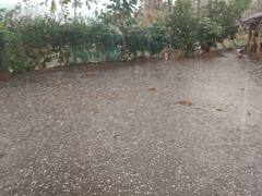 Unseasonal Rain : हंगामाच्या प्रारंभी आंबा, काजू, जांबु फळांवर अवकाळी आणि गारपिटीच संकट