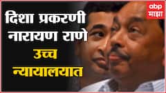 Narayan Rane : दिशा सालियन प्रकरणी गुन्हा रद्द करण्यासाठी नारायण राणेंची मुंबई उच्च न्यायालयात धाव