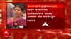 Maharashtra Budget 2022 : ठाकरे सरकारच्या अर्थसंकल्पाचं भाजप आमदार मंदा म्हात्रेंकडून स्वागत