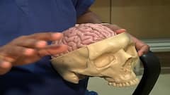 COVID Effect: করোনা কতটা ক্ষতি করছে মস্তিষ্কে, কী বলছেন চিকিৎসকরা? | Bangla News