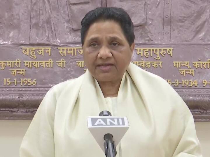 Mayawati BSP Chief Makes Address Don't Be Discouraged By Results Learn From It And Continue Party Movement 'BSP Team-B Of BJP': Mayawati Says Negative Tag Given To Her Party Misled People Successfully
