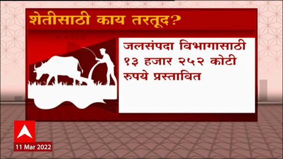 Maharashtra Budget 2022 : अर्थसंकल्प 2022 मध्ये शेतीसाठी काय तरतूद? ABP Majha