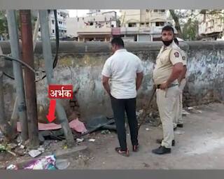 Nagpur Crime News : नागपुरात कचऱ्यात आढळलेले 'ते' भ्रूण आलं कुठून? पोलिसांनी घेतला शोध