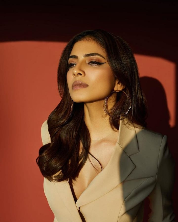 దాని తరువాత ఆమెకి మంచి అవకాశాలే వచ్చాయి. విజయ్ నటించిన 'మాస్టర్' సినిమాలో హీరోయిన్ గా కనిపించింది. (Photo Courtesy : Malavika Instagram)