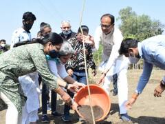 MP News: कर्ज के दौर में सीएम शिवराज के पौधारोपण पर खर्च हुए 362 करोड़, 5 साल में इतना बढ़ा पौधों का दाम